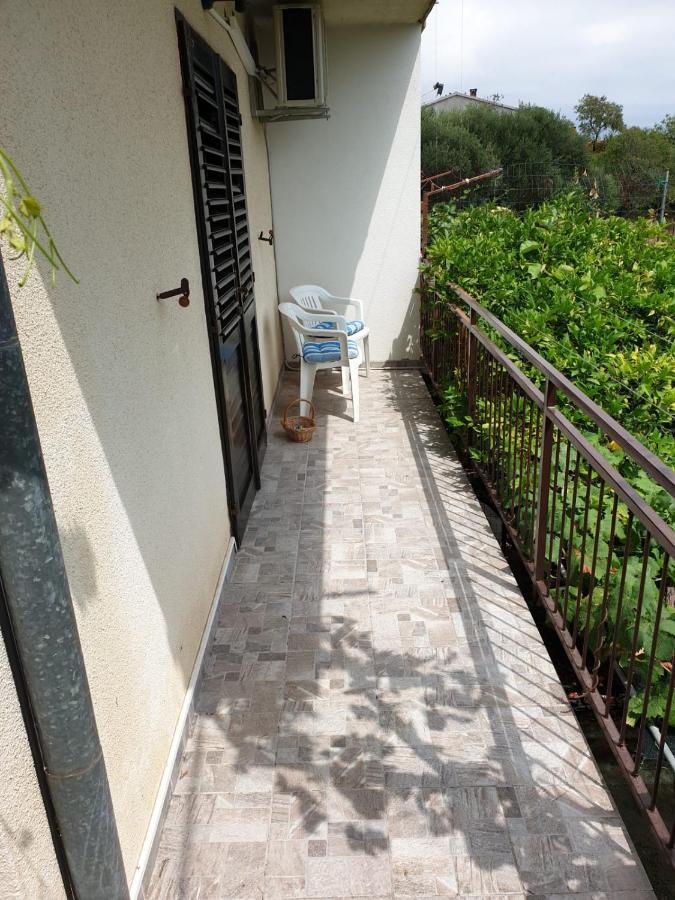 אורביץ Apartments Ljiljana מראה חיצוני תמונה