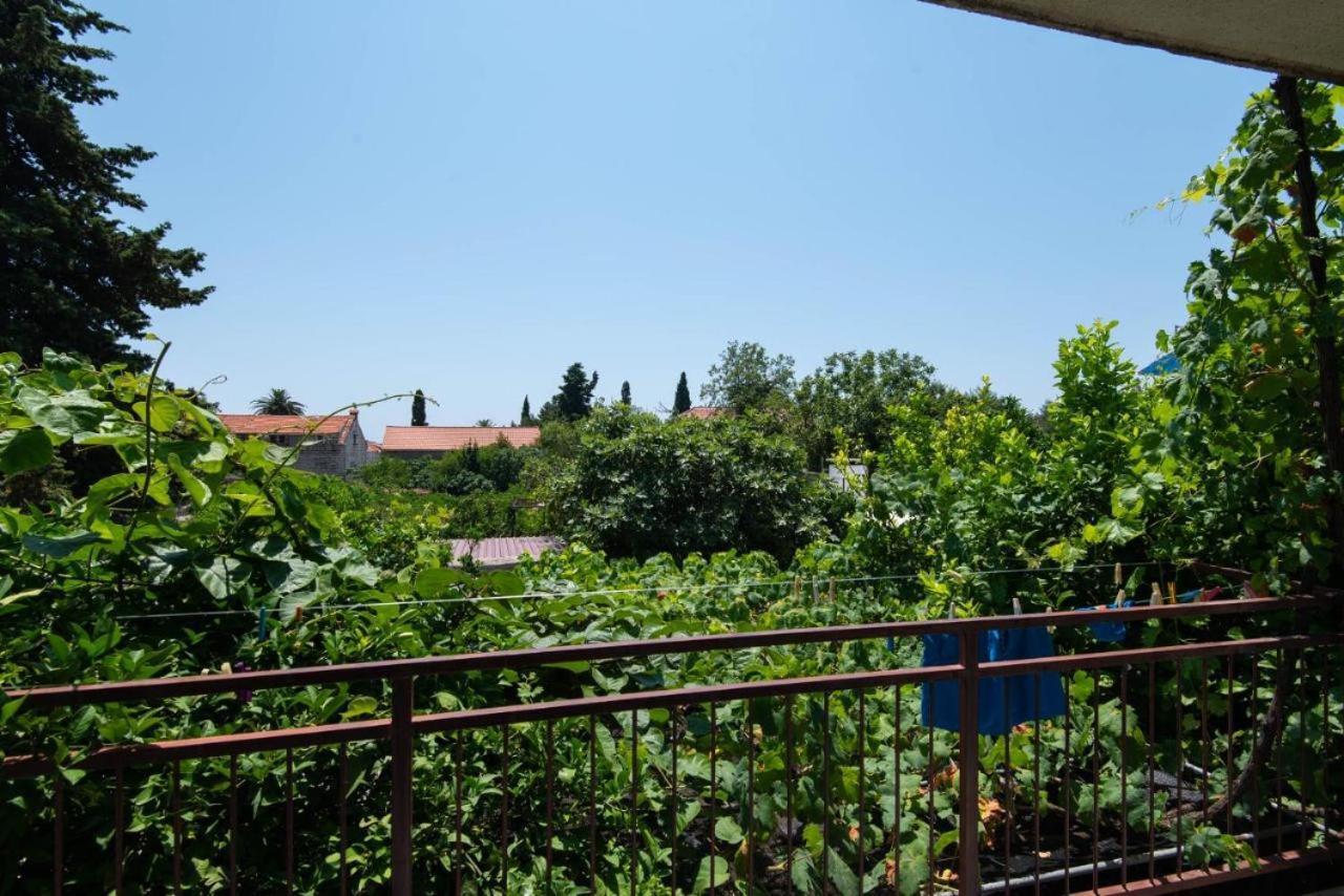 אורביץ Apartments Ljiljana מראה חיצוני תמונה